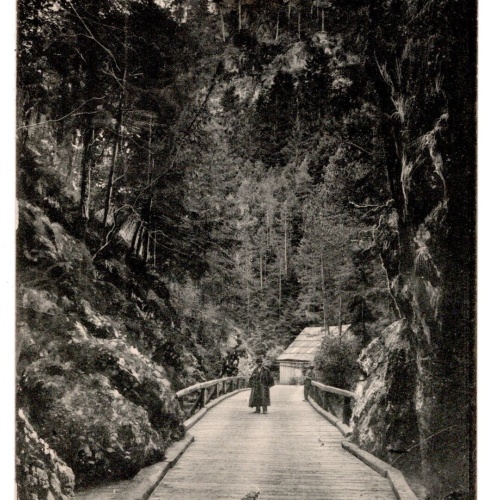 AK, Gutenstein, Niederösterreich, Ansichtskarte (S7428)