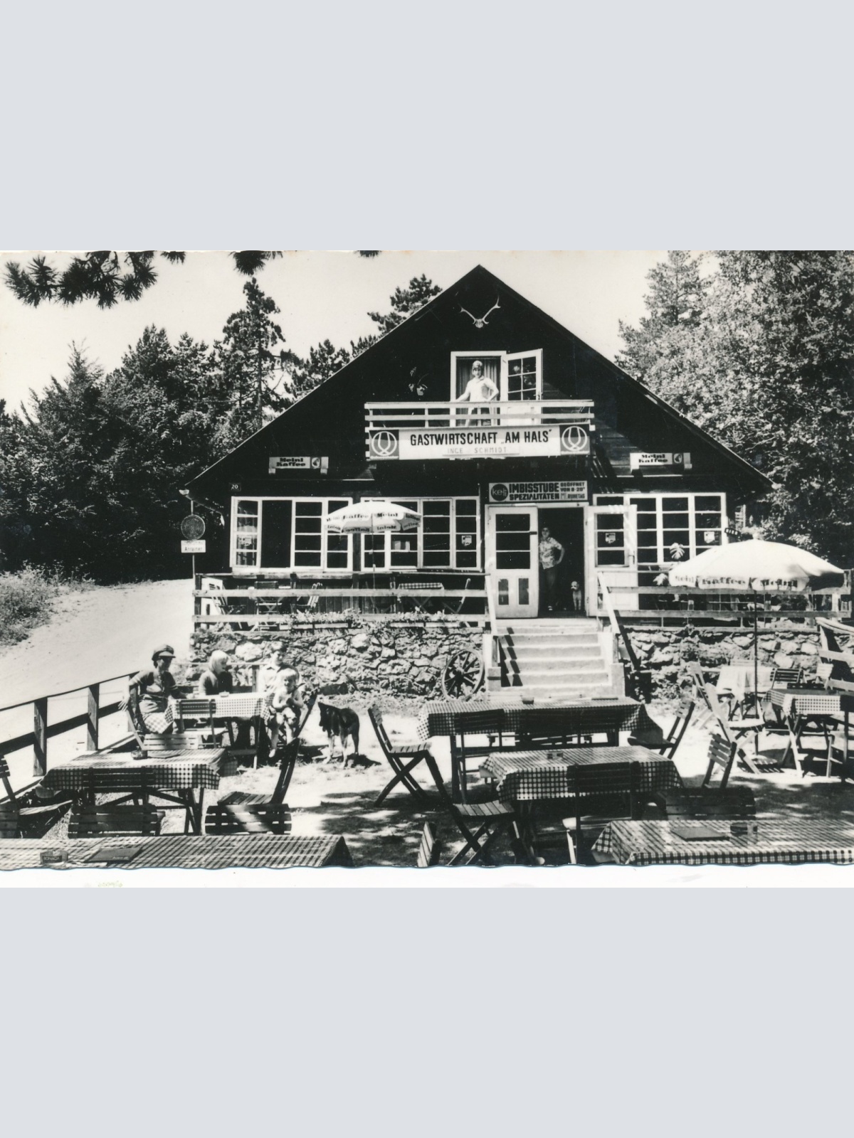 AK aus Pernitz Waldgasthof am Hals Niederöst. Ansichtskarte (14952)