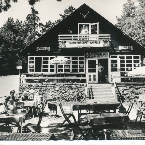 AK aus Pernitz Waldgasthof am Hals Niederöst. Ansichtskarte (14952)