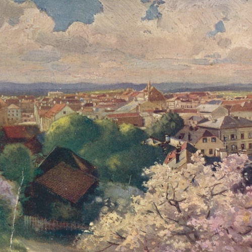 AK aus Ried im Innkreis Oberösterreich Ansichtskarte (15153)