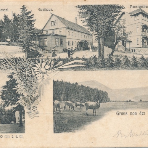 AK gruss aus der Schmücke Thüringen Ansichtskarte (15862)