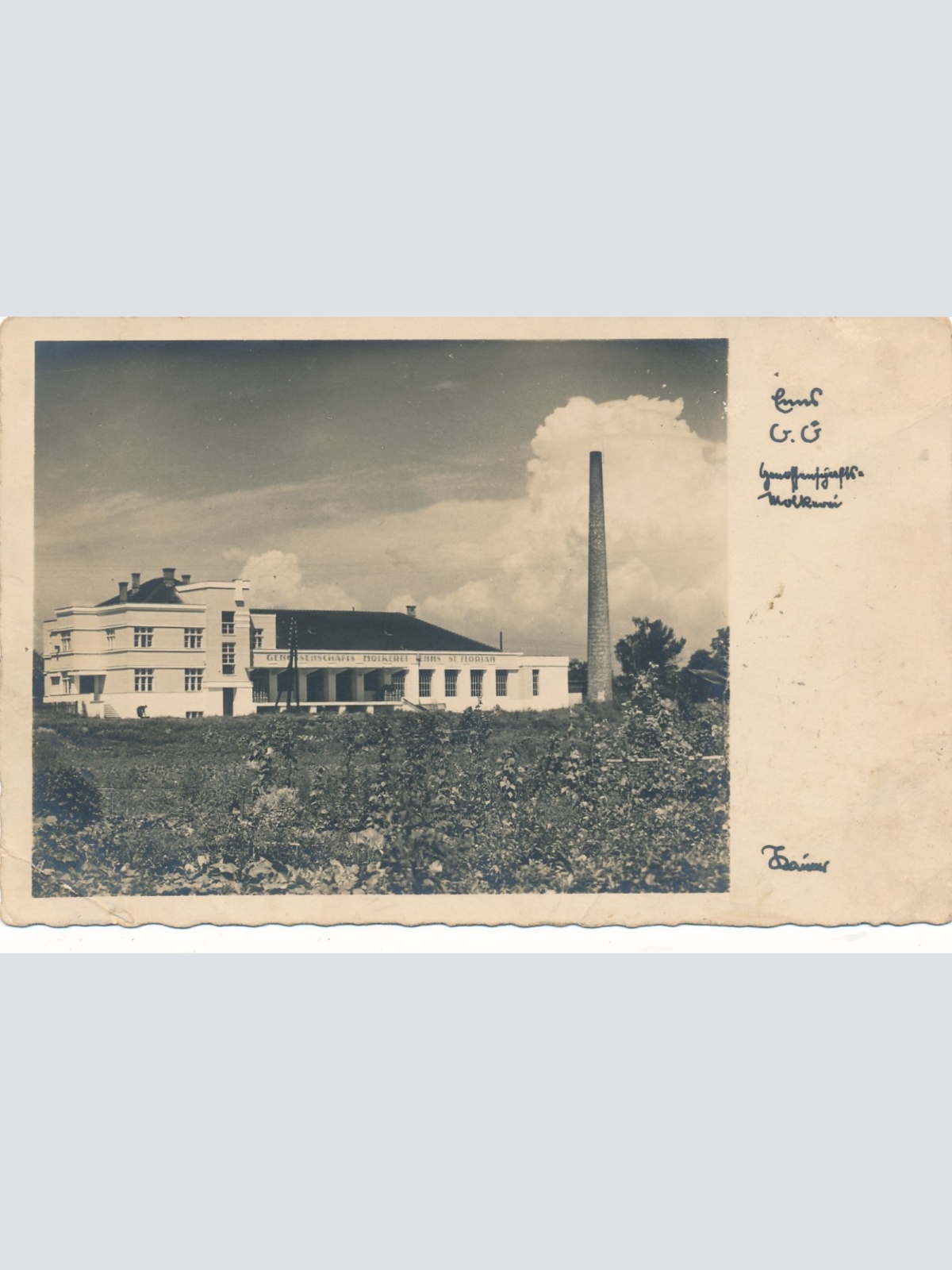 AK aus Enns mit Molkerei Oberösterreich Ansichtskarte (15647)