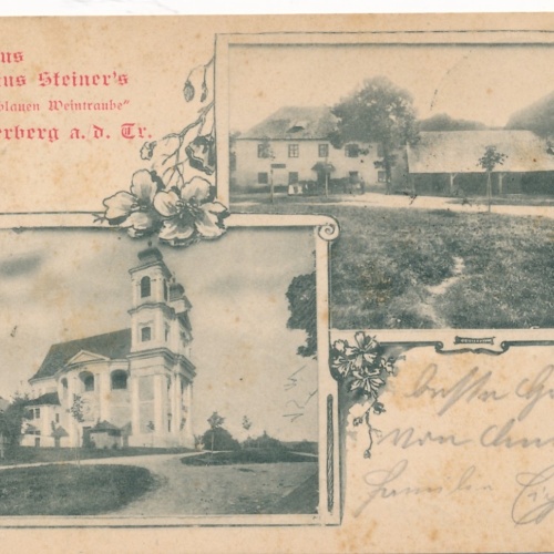 AK gruß aus Julius Steiners Gastahus Hafnerberg NÖ Ansichtskarte (15996)