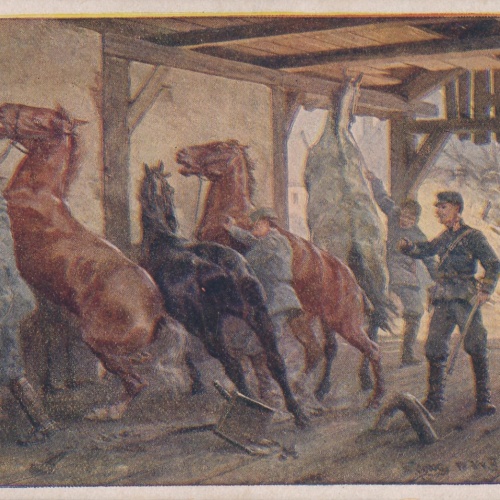 Rot Kreuz Karte Nr. 429 Pferdestall Ansichtskarte (15726)