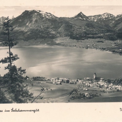 AK aus vom Wolfgangsee Oberösterreich Ansichtskarte (15698)