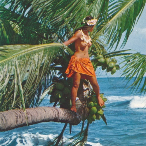 AK Annodazumals nackte Hawaianerin Busen Erotik Ansichtskarte (15748)