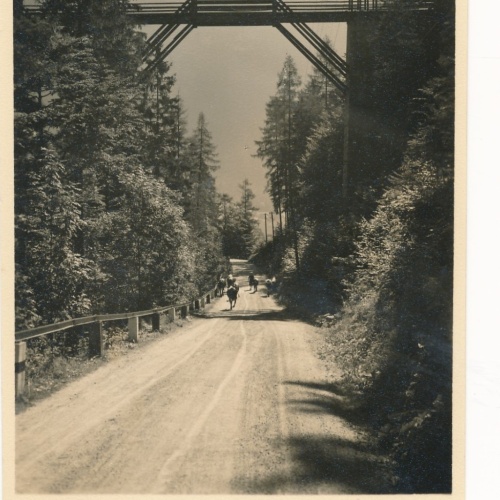 AK vom Gosauzwang Oberösterreich Ansichtskarte (15503)