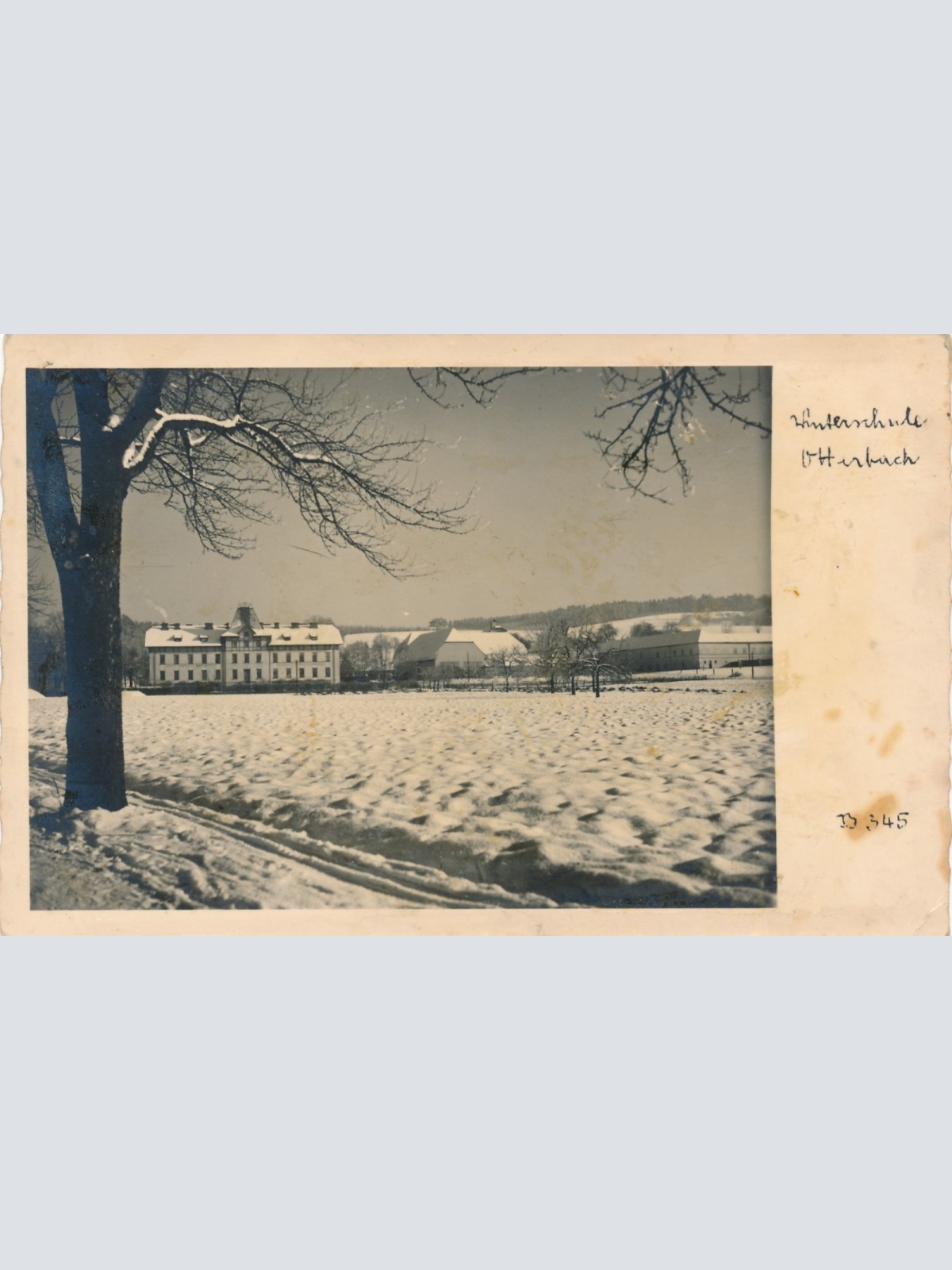 AK Ottenbach mit Schule Oberösterreich Ansichtskarte (15570)