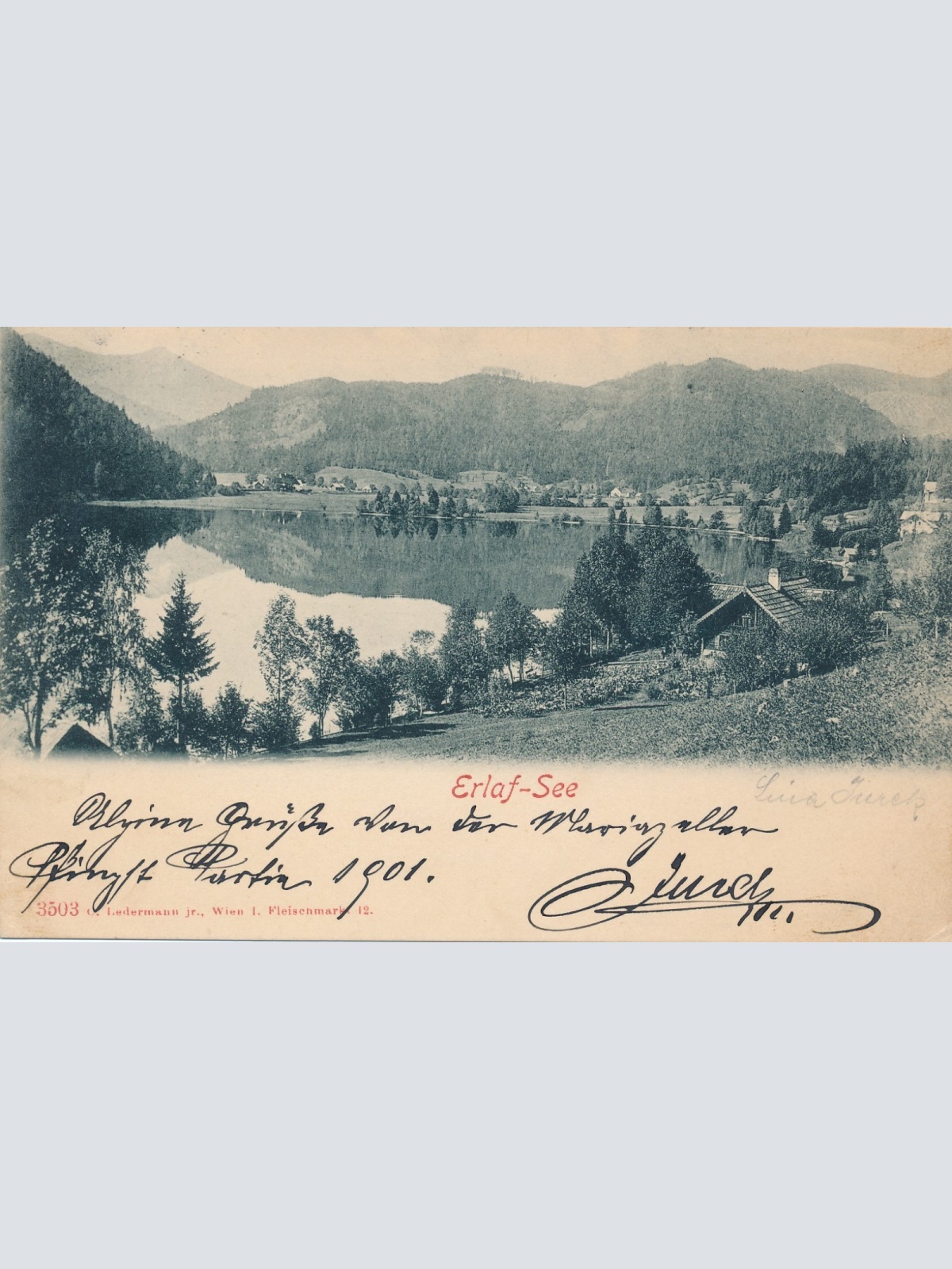 AK vom Erlauf See Steiermark Ansichtskarte (16475)