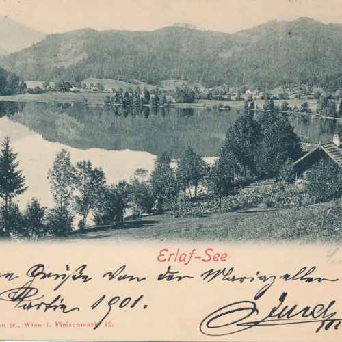 AK vom Erlauf See Steiermark Ansichtskarte (16475)