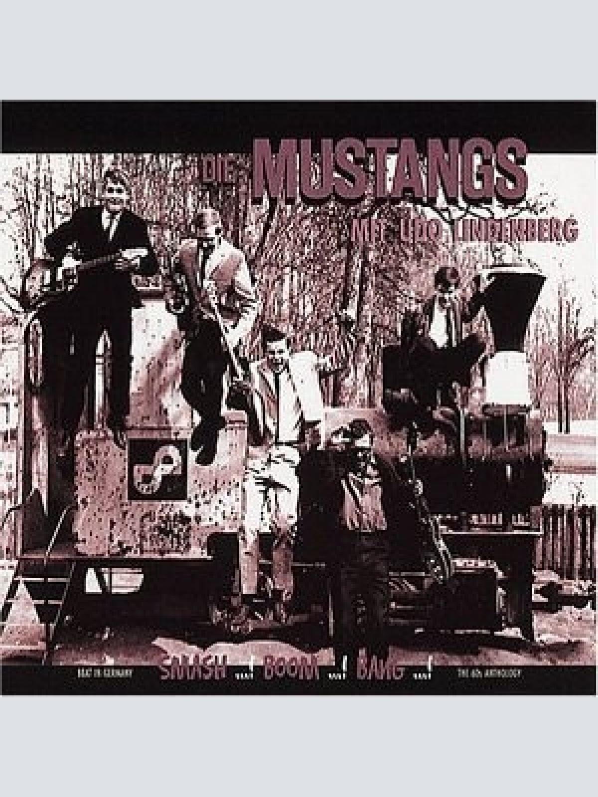 CD, Comp Die Mustangs Mit Udo Lindenberg - Beat In Germany, The 60's Anthology