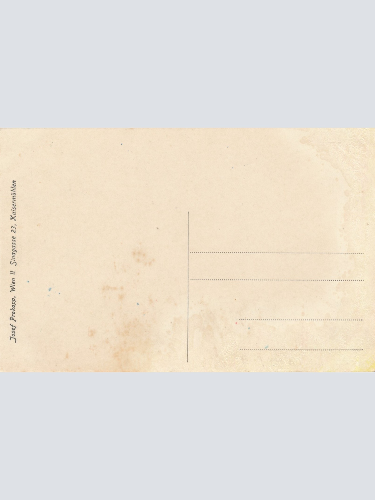 AK aus Steinakirchen am Forst Niederösterreich Ansichtskarte (16303)