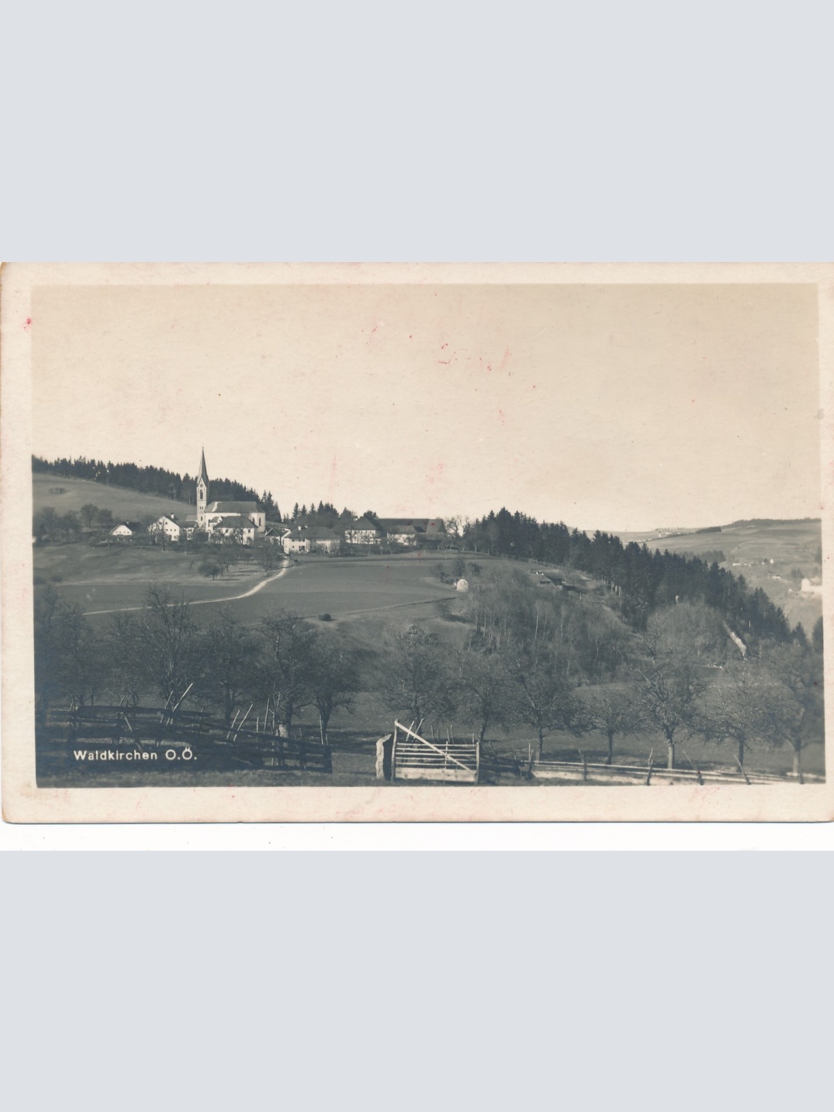 AK aus Waldkirchen Oberösterreich Ansichtskarte (16568)