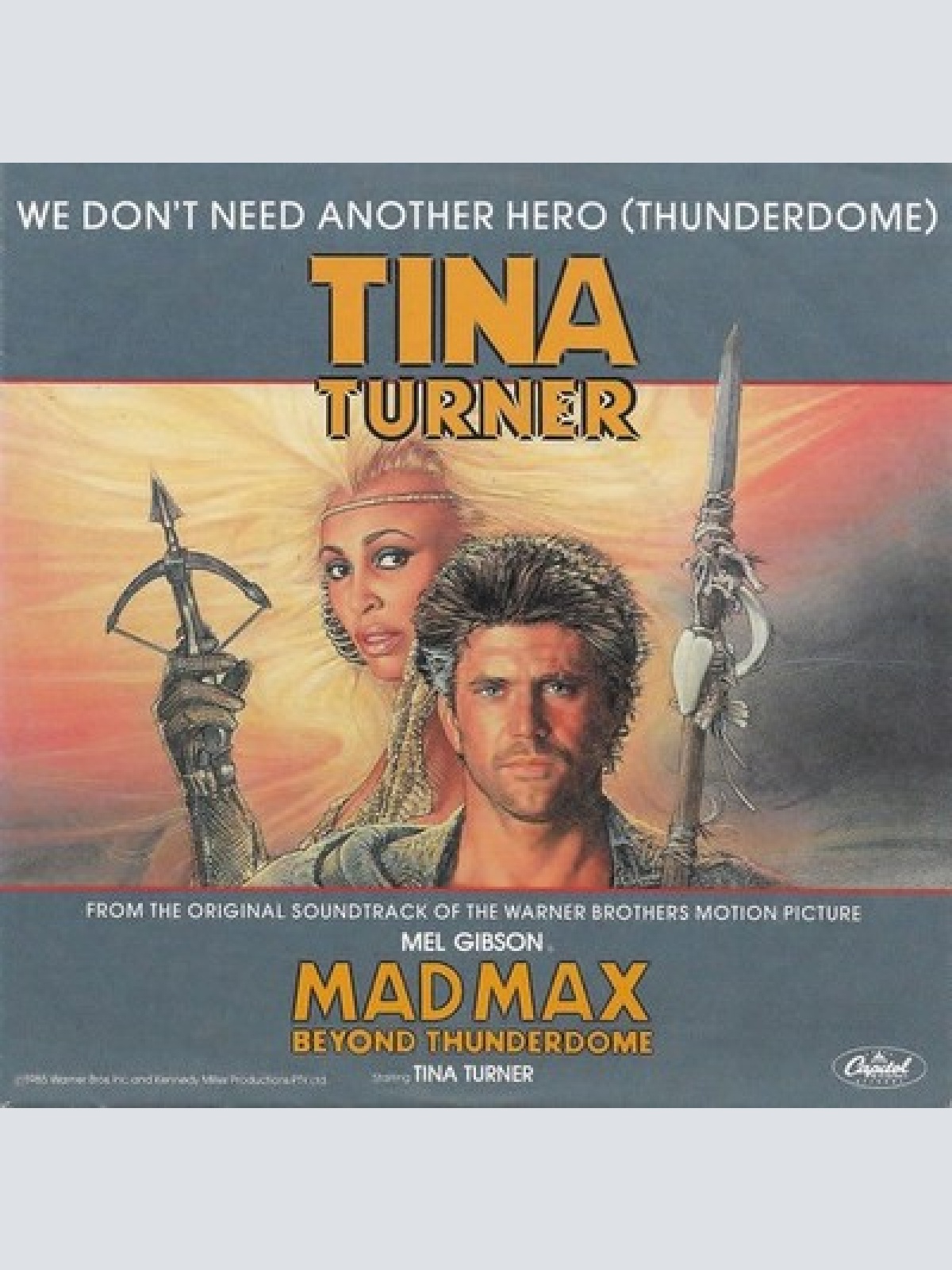 7", Single Tina Turner - We Don't Need Another Hero (Thunderdome)