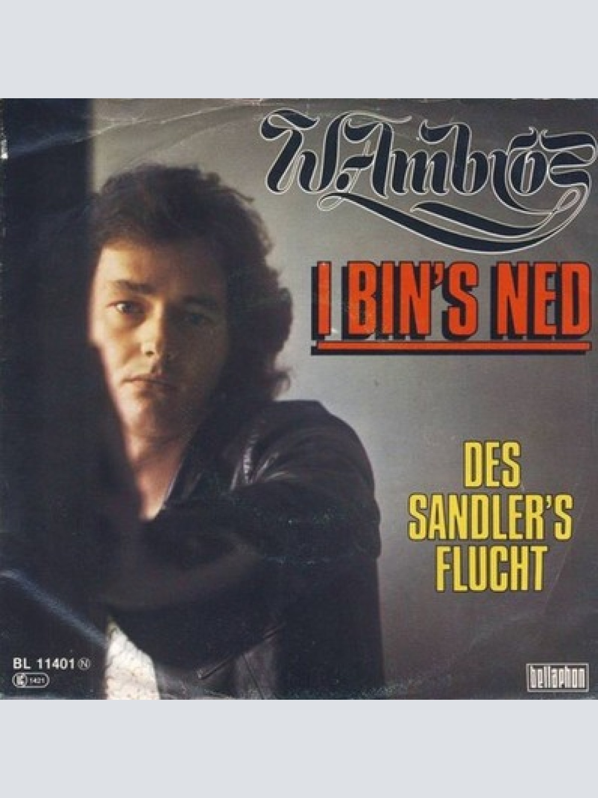 7", Single W. Ambros* - I Bin's Ned