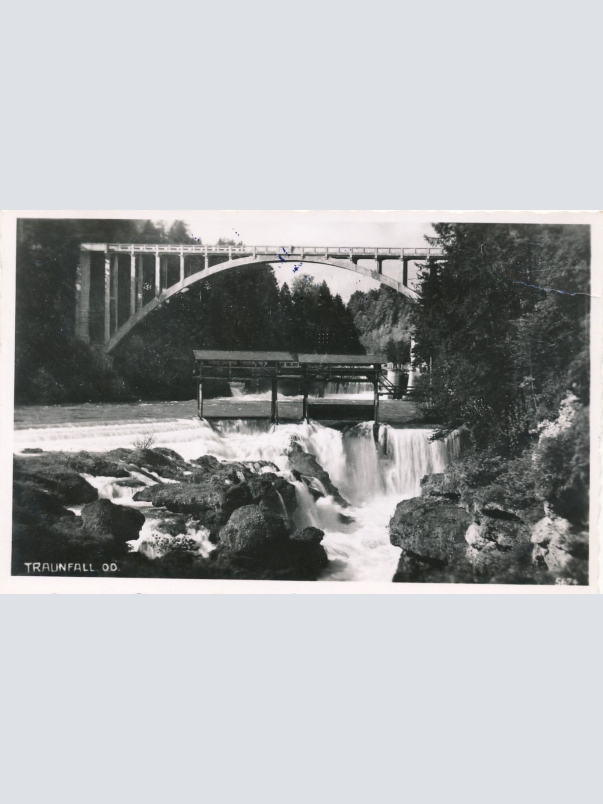 AK vom Traunfall Oberösterreich Ansichtskarte (17123)