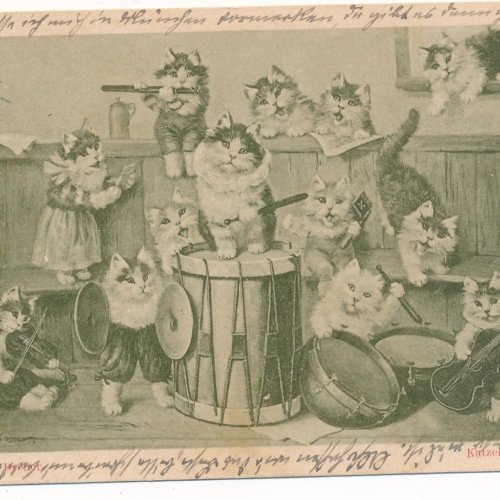 AK Katzenkonzert Katzen mit Instrumenten Ansichtskarte (16930)