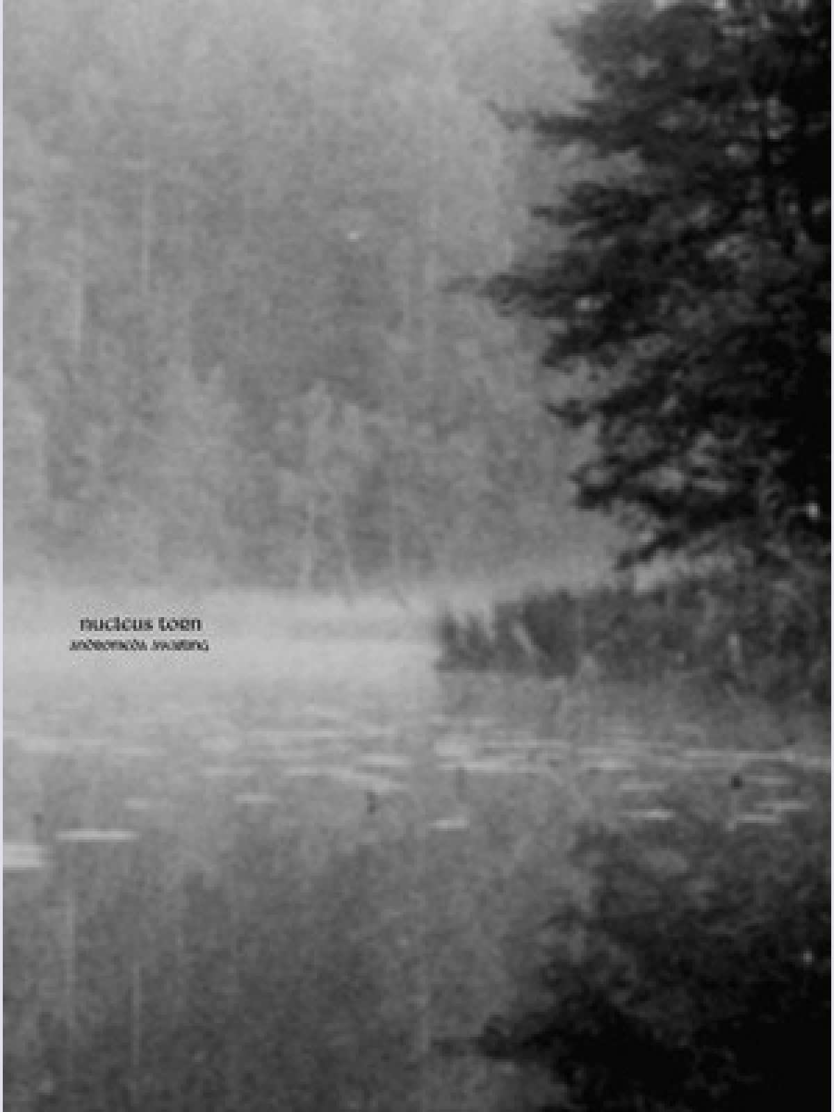 CD, Album Nucleus Torn - Andromeda Awaiting