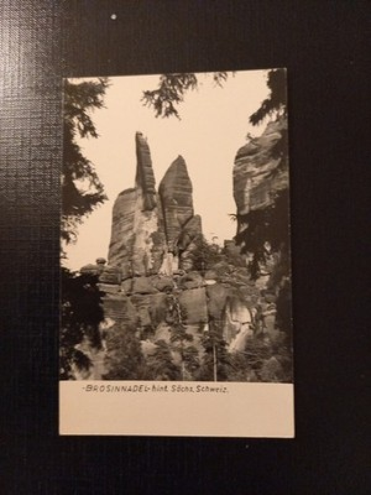 Brosinnadel Hint Sächs.Schweiz 180206 GR