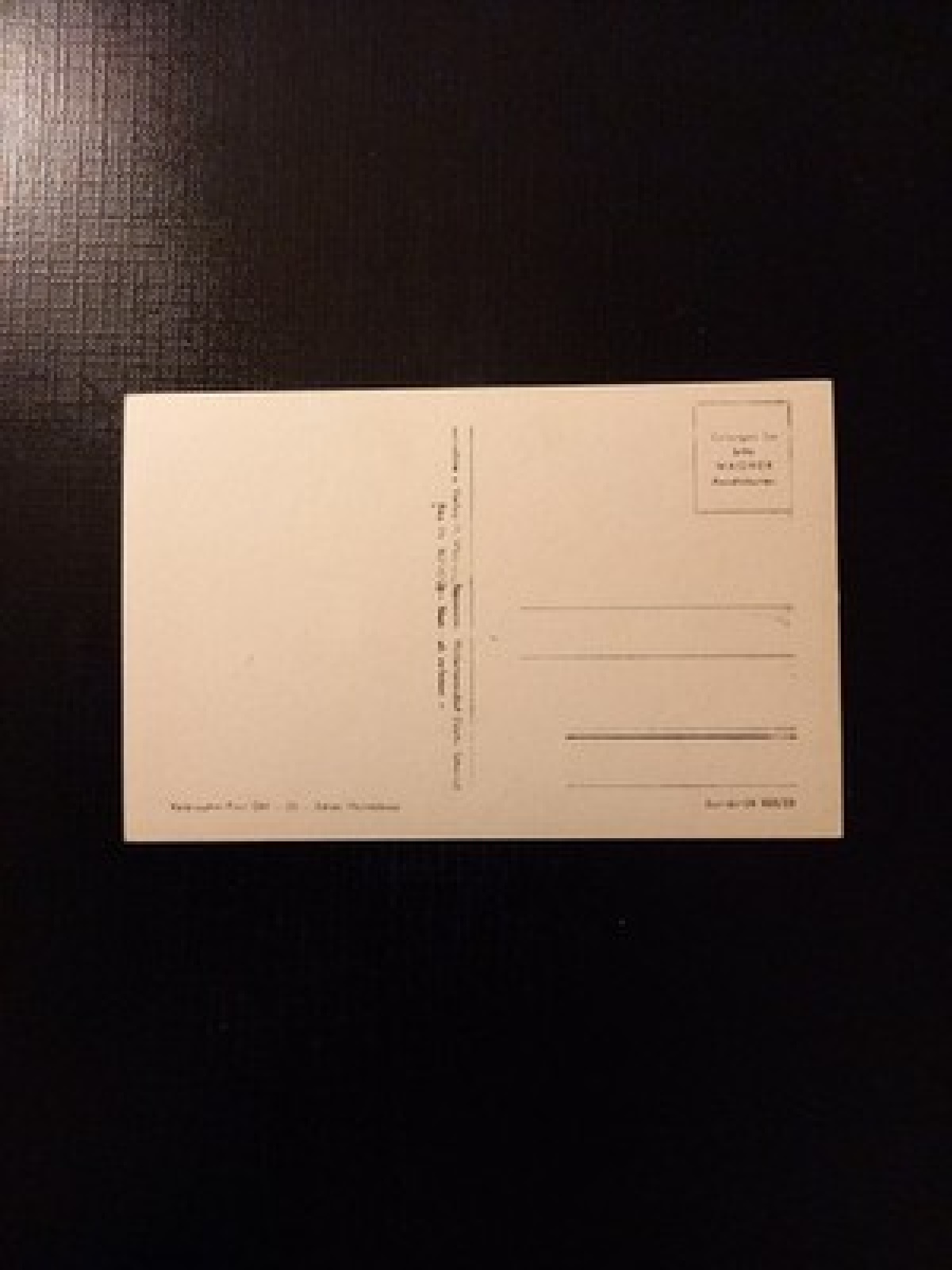 Brosinnadel Hint Sächs.Schweiz 180206 GR