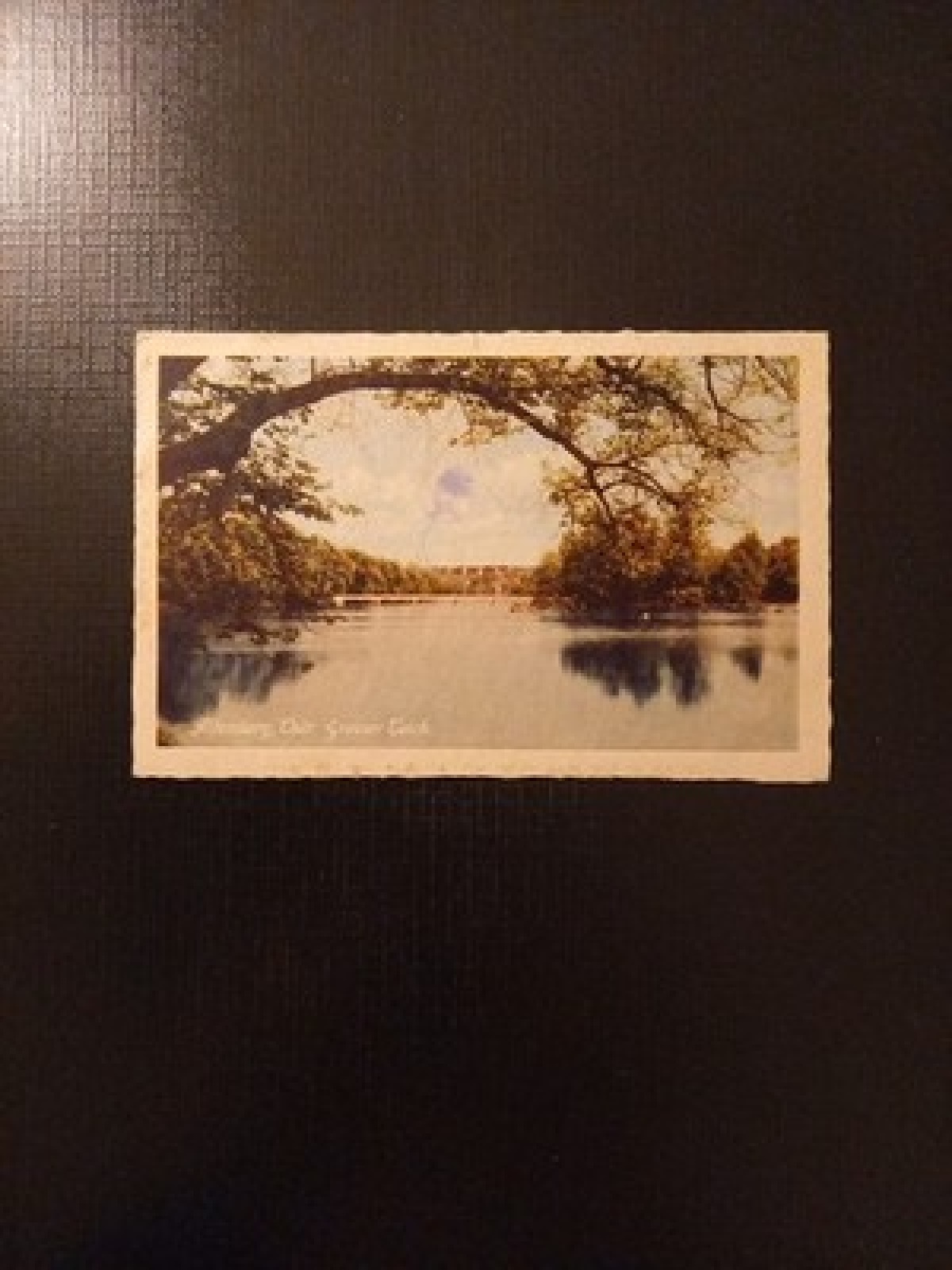 Altenburger Thür Grosser Teich Deutschland 400287 GR