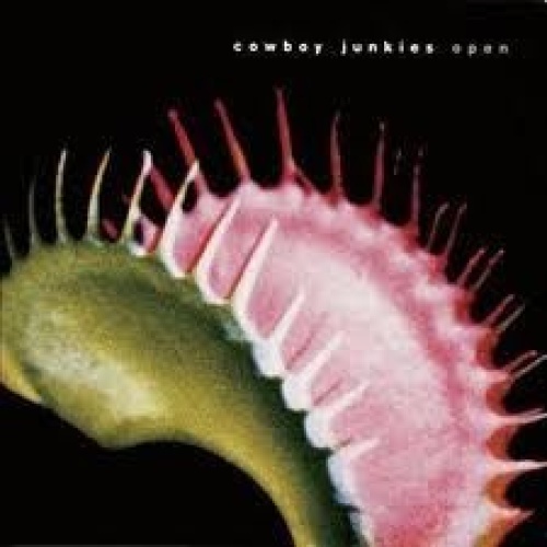 CD, Album Cowboy Junkies - Open