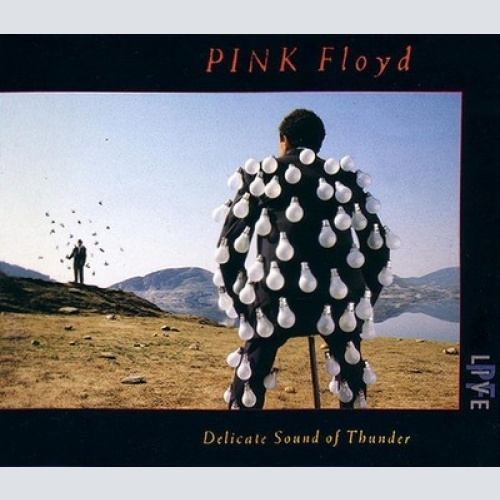 2xCD, Album, EMI Pink Floyd - Delicate Sound Of Thunder