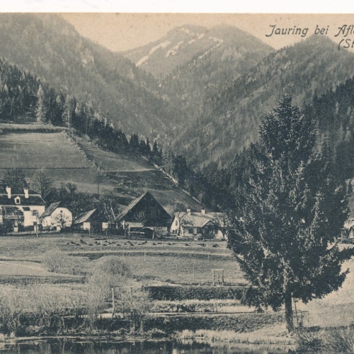 AK aus Jauring bei Aflenz Steiermark Ansichtskarte (18120)