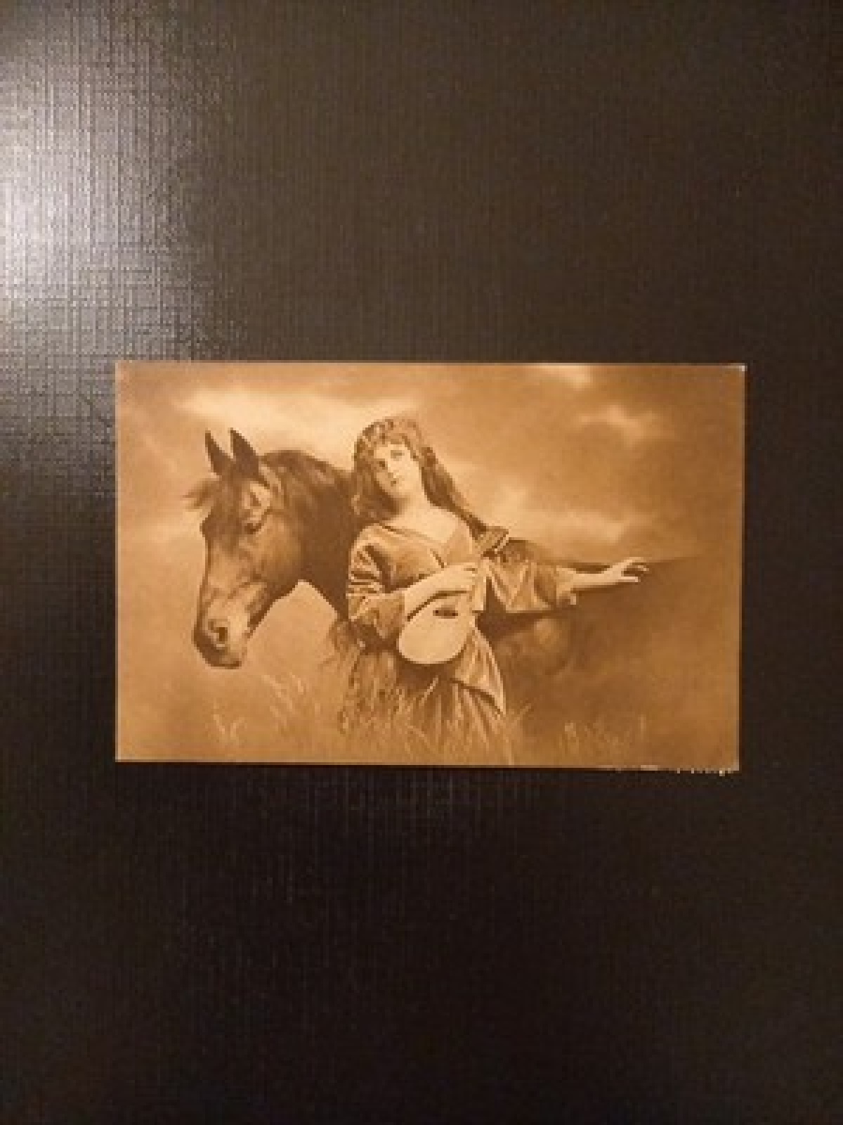 Frau Mit Mandoline Pferd 600612AGr