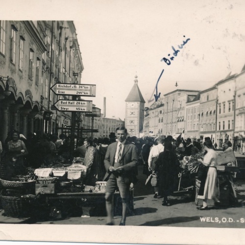 AK aus Wels Stadtplatz Oberösterreich Ansichtskarte (18269)