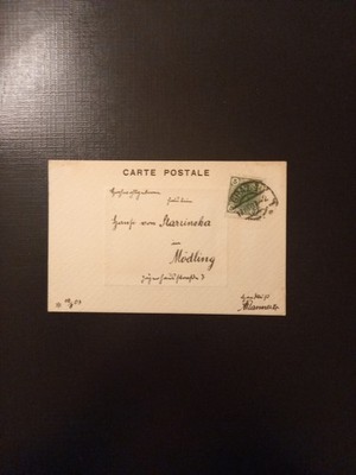 Mödling Mann Kutsche Pferde Und Hund Gr