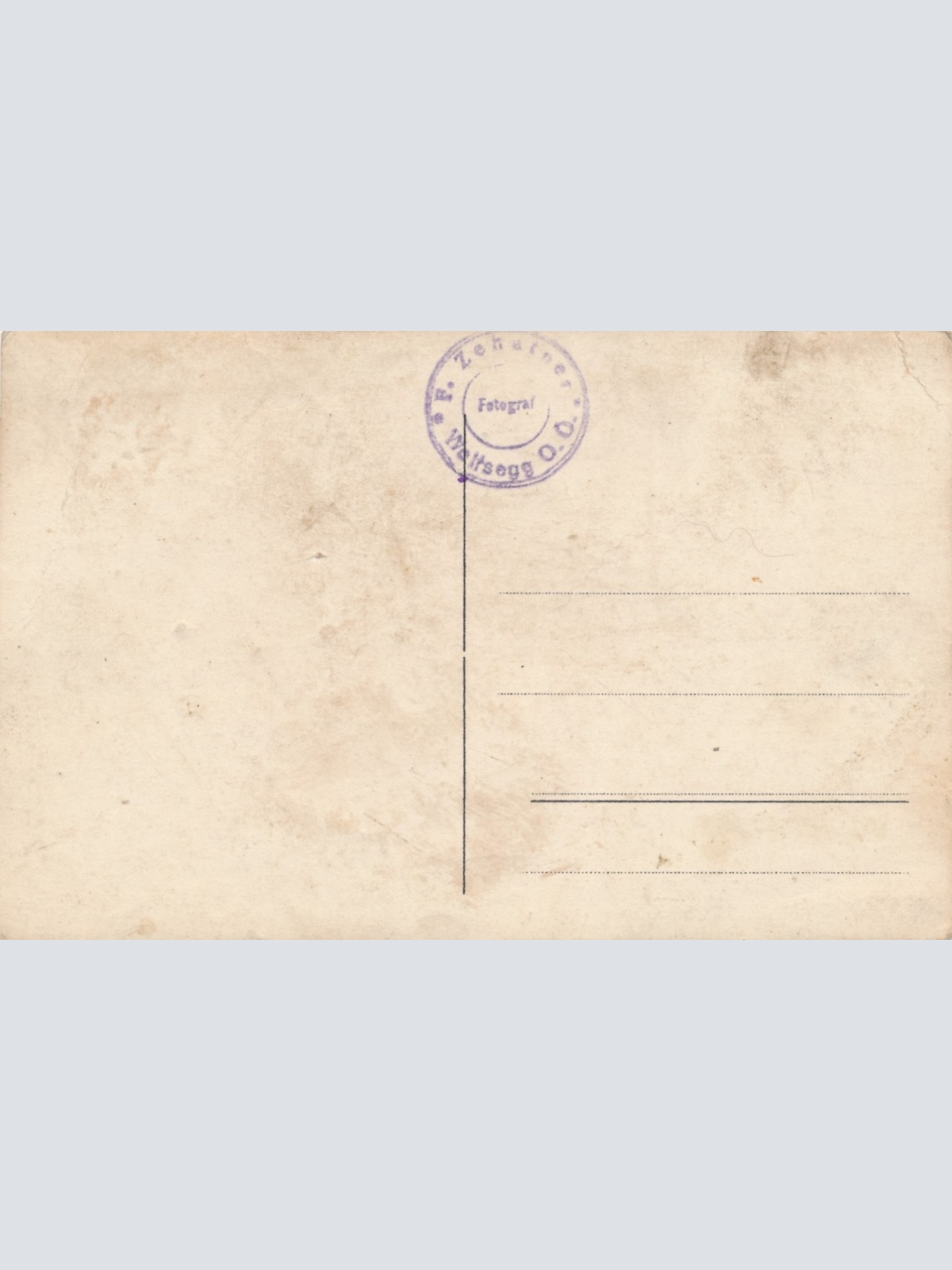 AK aus Haas mit Kühen Oberösterreich Ansichtskarte (18515)