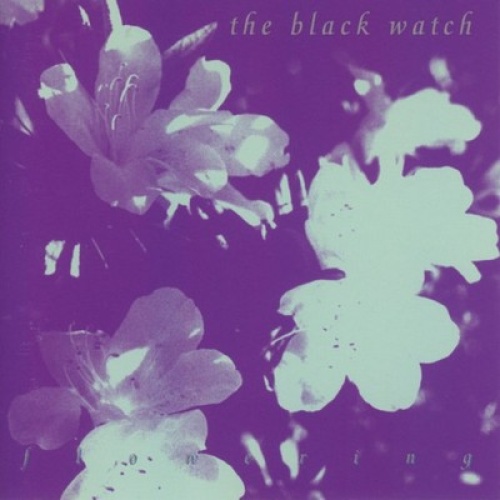 CD, Album The Black Watch - Flowering
