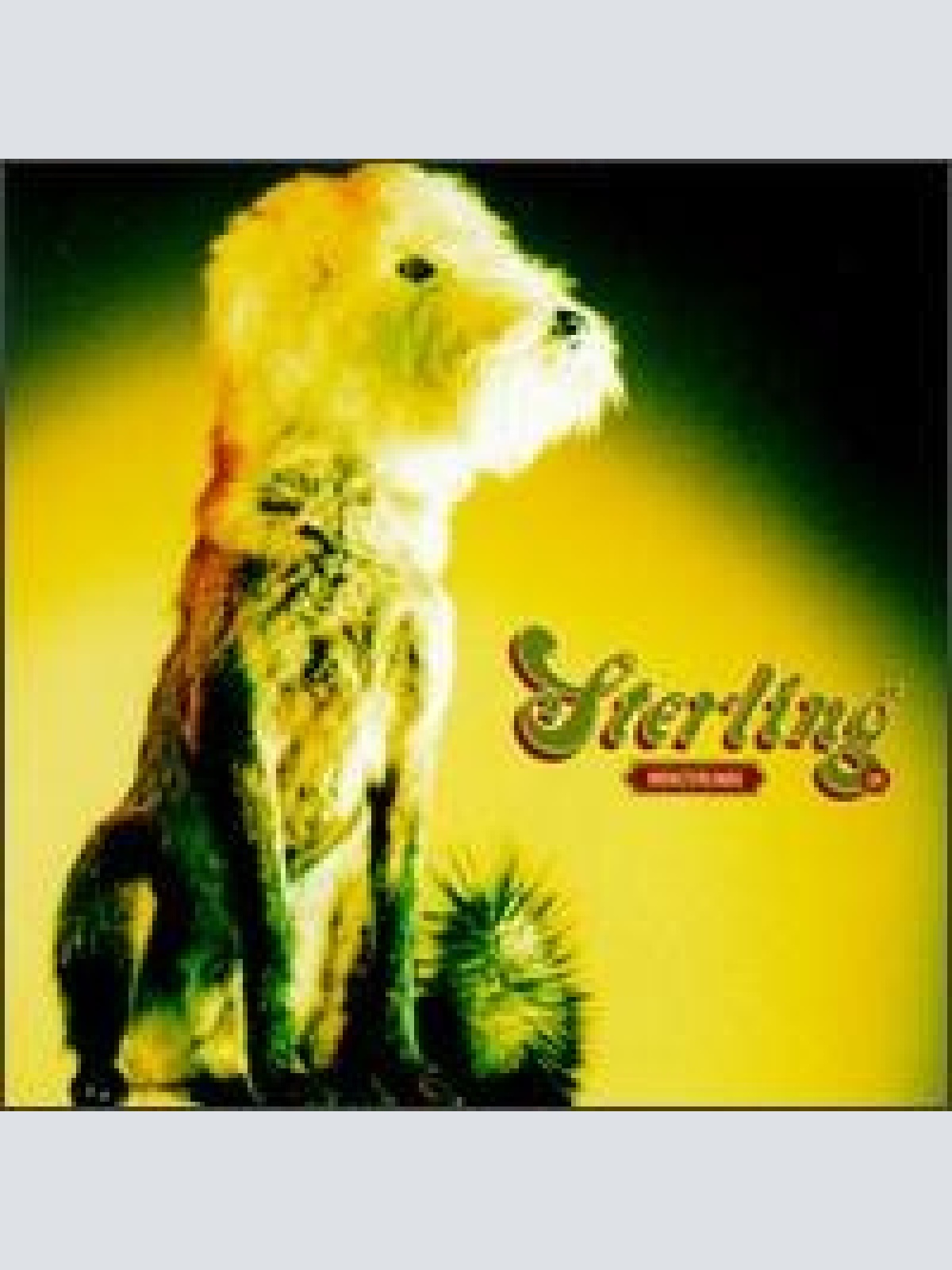 CD, Album Sterling (5) - Monsterlingo