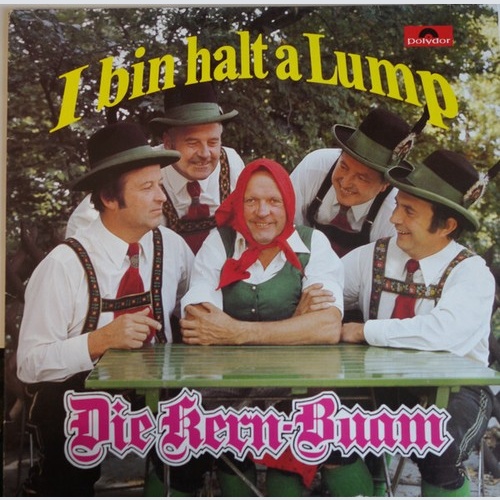 Die Kern Buam - I Bin Halt A Lump (LP, Album, Club)