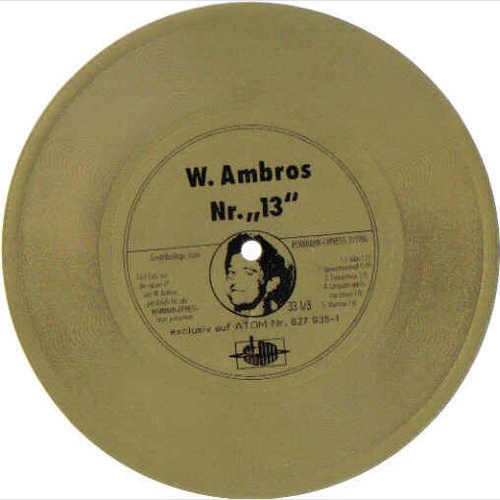 Wolfgang Ambros - Nr.„13" (Flexi, 7", S/Sided, Promo, Smplr)