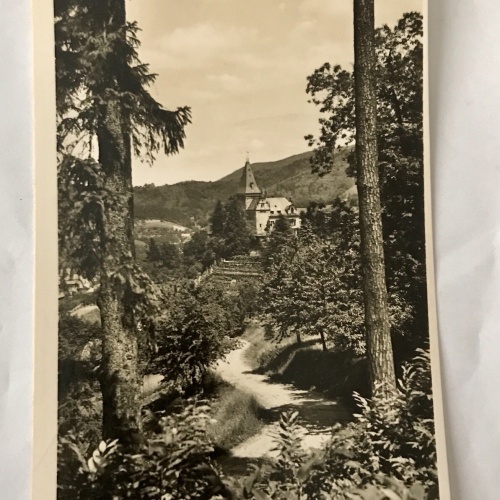 AK, Kappelrodeck, Schwarzwald, Schloß Rodeck (110210 BW)