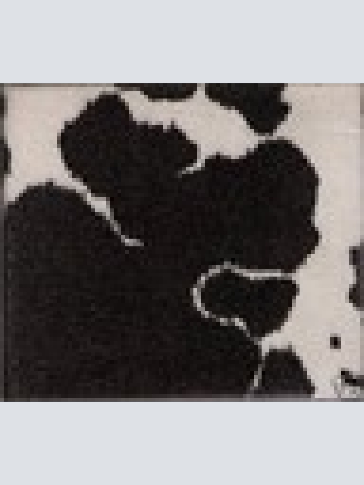 CD / AEROSMITH /  RARITÄT /