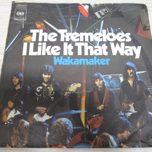 Single /   The Tremeloes ?– I Like It That Way     /   DE   PRESS / RAR /