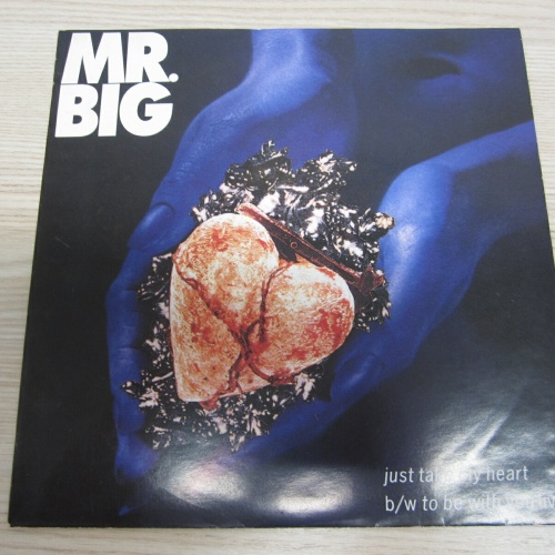 Single /   Mr. Big ?– Just Take My Heart   / DE  PRESS / RAR /