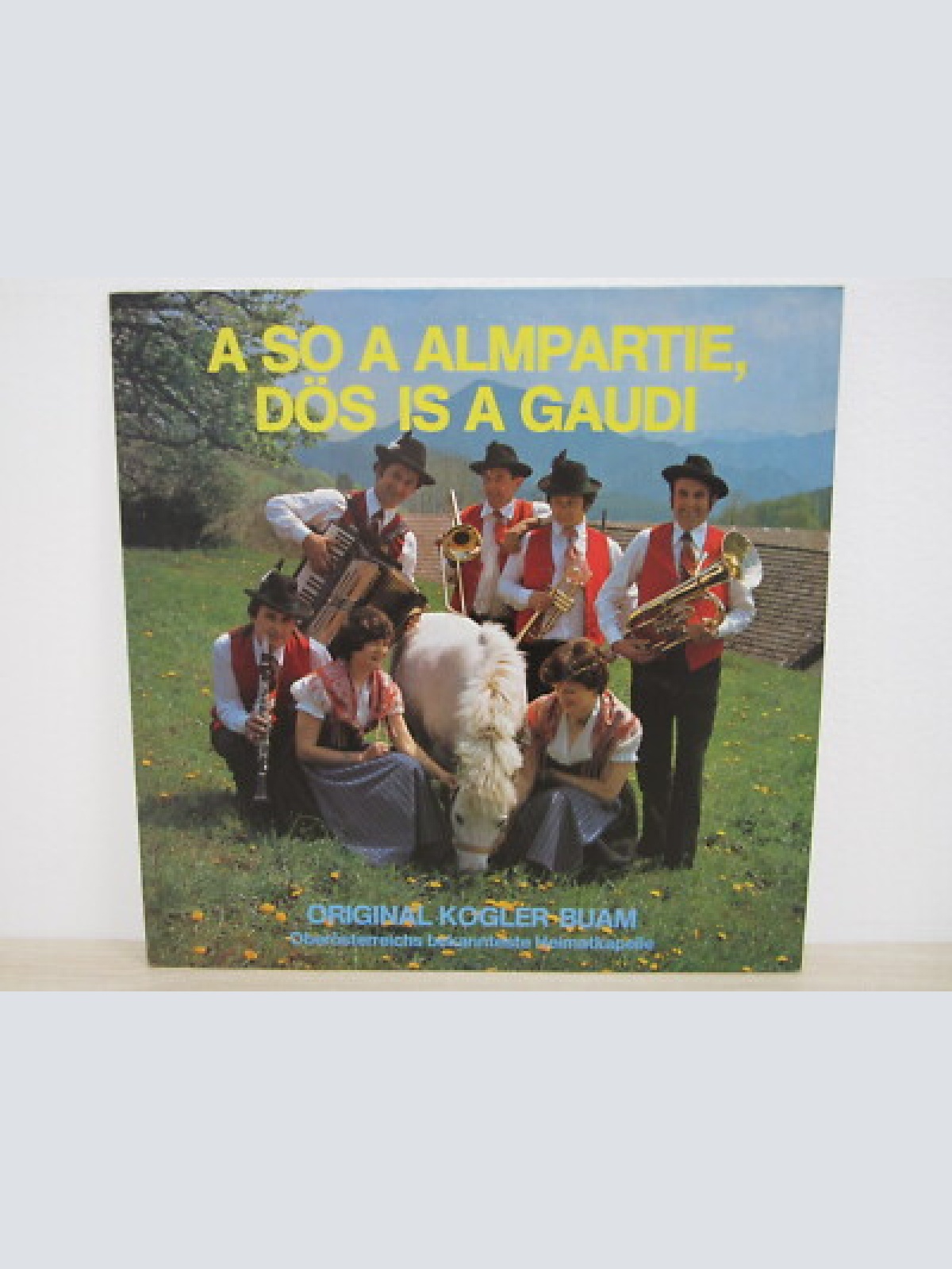 LP /  ORIGINAL KOGLER BUAM - MUSTERPRESSUNG / AUSTRIA / RARITÄT / PROMO /