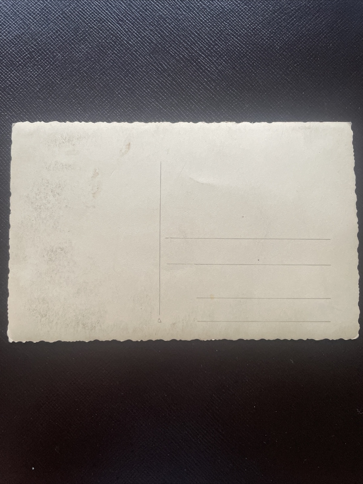 Blejsko jeservo, v ozadju karavanke, See 400739 DN A