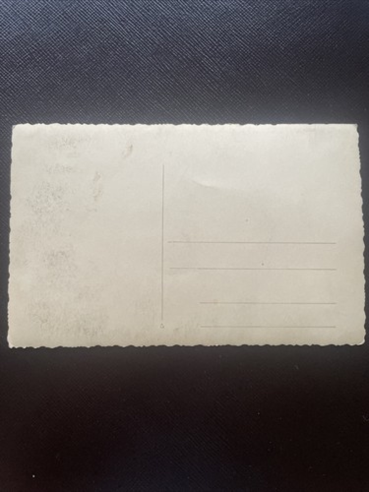 Blejsko jeservo, v ozadju karavanke, See 400739 DN A