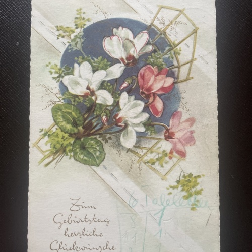 Zum Geburtstag herzliche Glückwünsche, Blumen 400793 DN