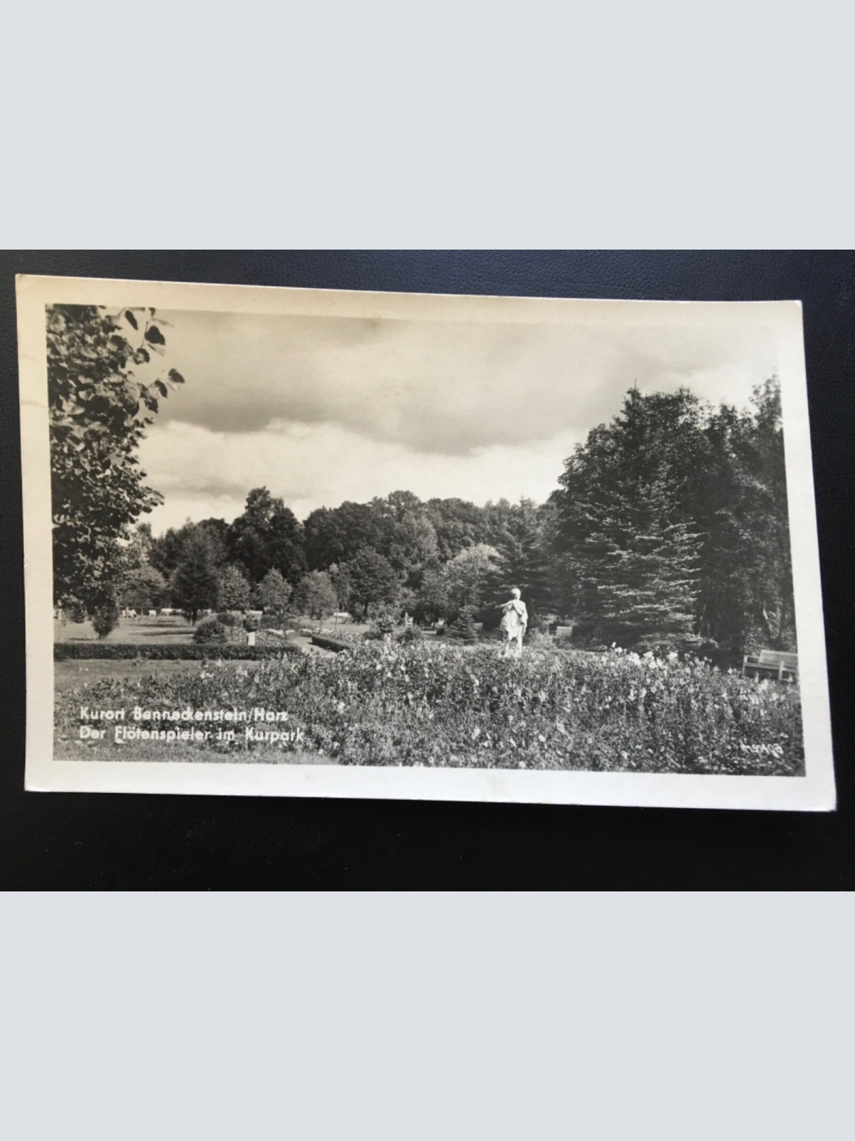 Kurort Benneckenstein - Harz - Der Flötenspieler im Kurpark - Statue 924 TH