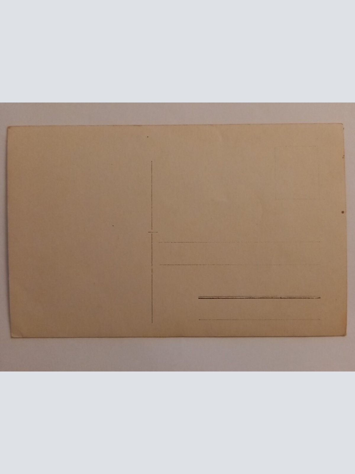 Foto  Frau mit Buch 500141A gr D