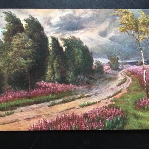 Windige Landschaft - Wald - Windmühle - Künstlerkarte 904 TH