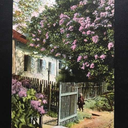 Kind unter blühenden Baum - Haus Garten - Künstlerkarte 906 TH