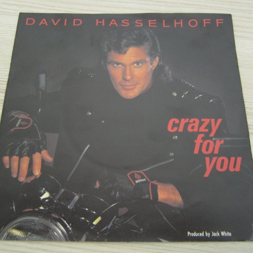 Single /  David Hasselhoff ?– Crazy For You     / DE   PRESS / RAR /
