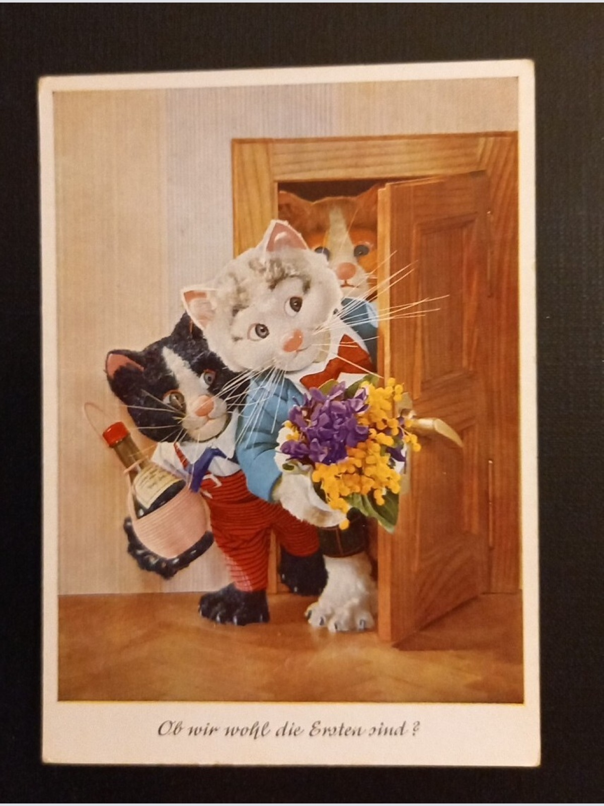 Pussy Diehl Puppe Ob Wir Wohl Die Ersten Sind 165364 Ga G